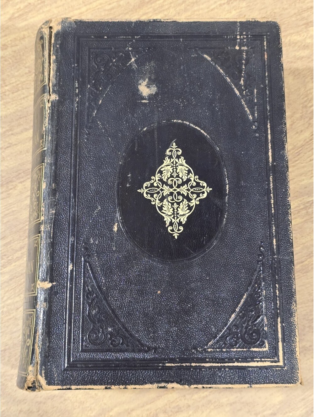 1876 Dr. King's New American Family Physician By John King
